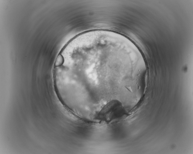 X0000089851291200707262100