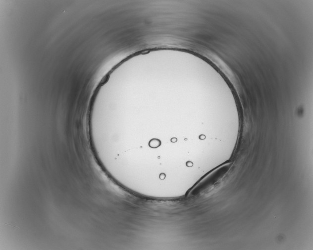 X0000089851293200707262100