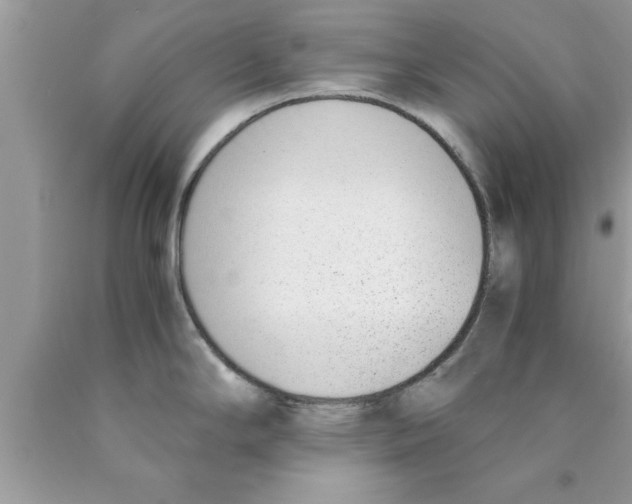 X0000089851294200707262100