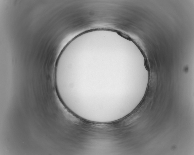 X0000089851295200707262100