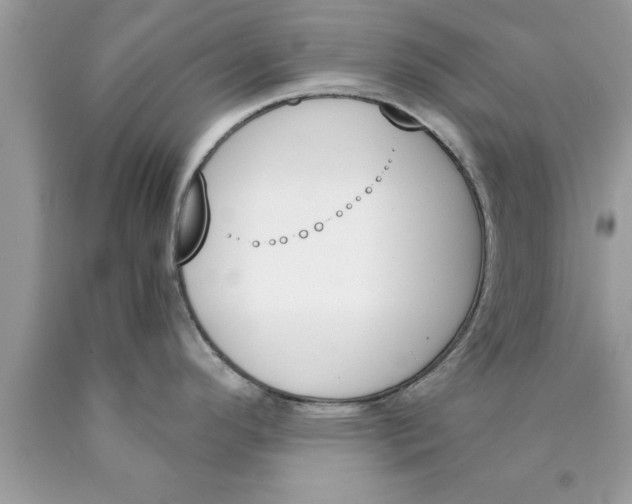 X0000089851296200707262100