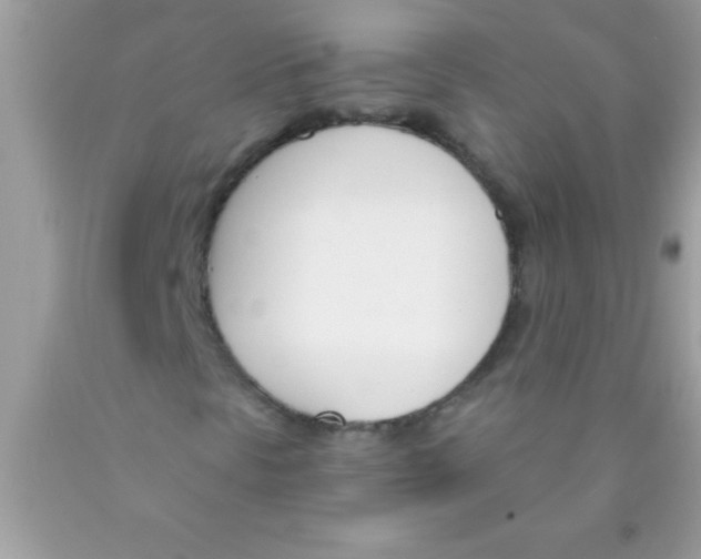 X0000089851297200707262059