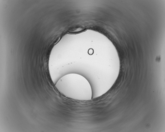 X0000089851298200707262059