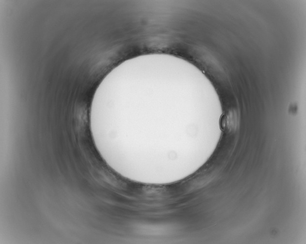 X0000089851299200707262059