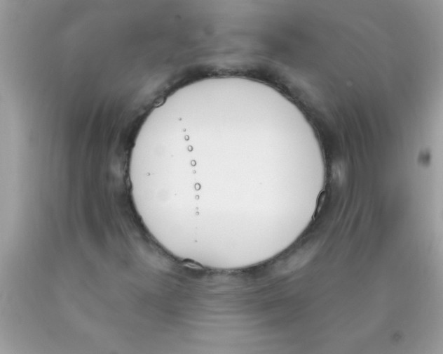 X0000089851300200707262059