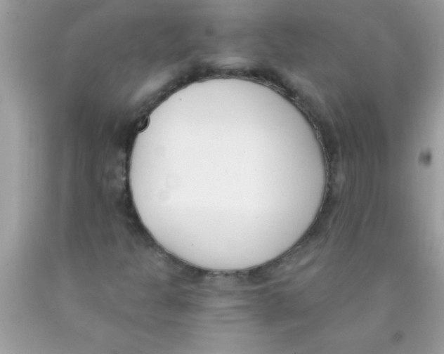 X0000089851301200707262059