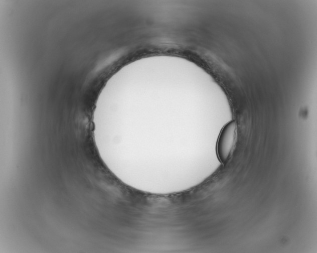 X0000089851302200707262059