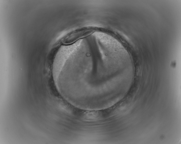 X0000089851303200707262059