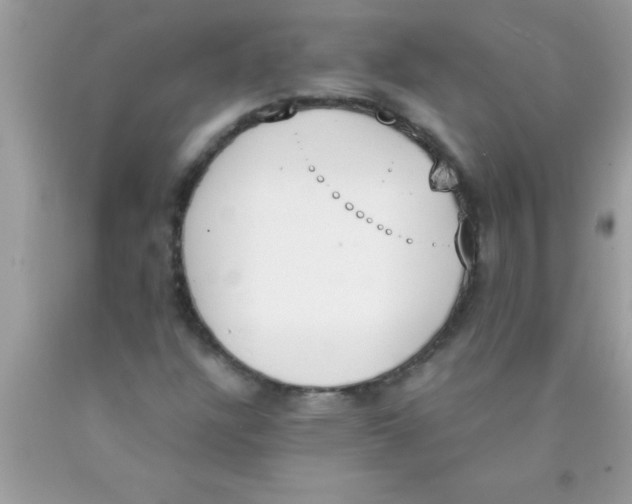 X0000089851304200707262059