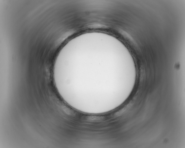 X0000089851305200707262059