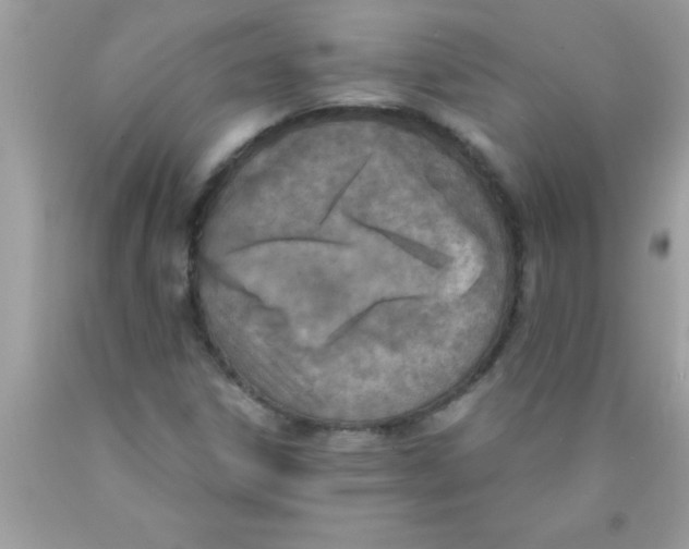 X0000089851306200707262059