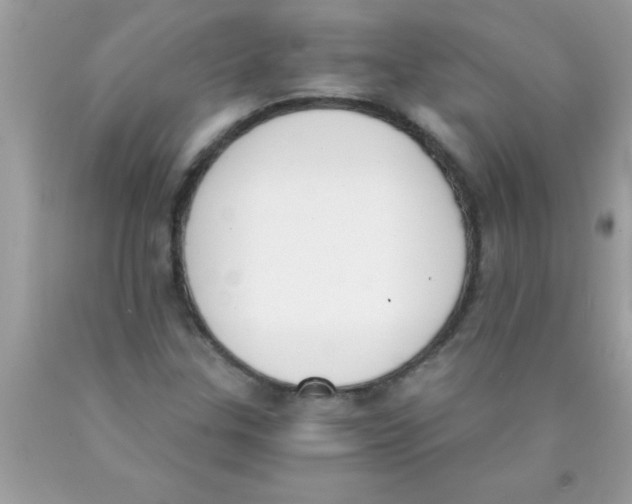 X0000089851307200707262059