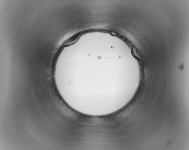 X0000089851308200707262059