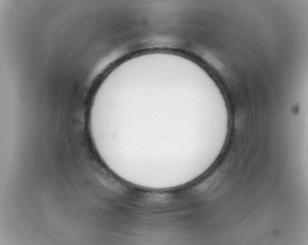 X0000089851309200707262059