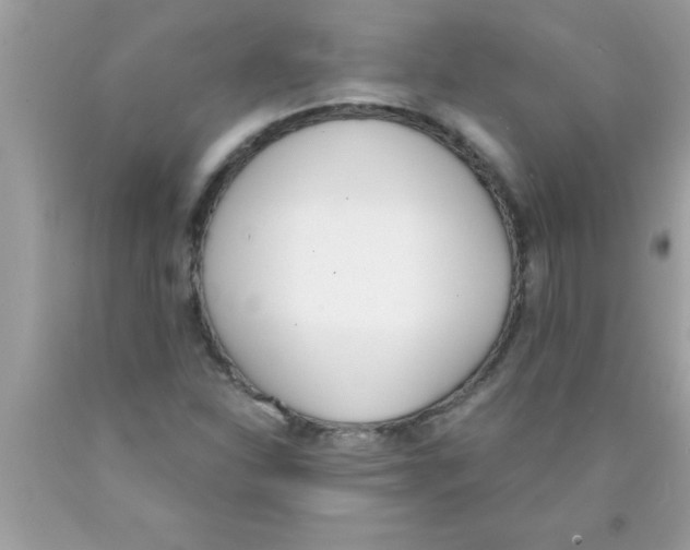 X0000089851310200707262059