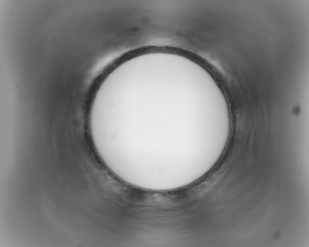 X0000089851311200707262059