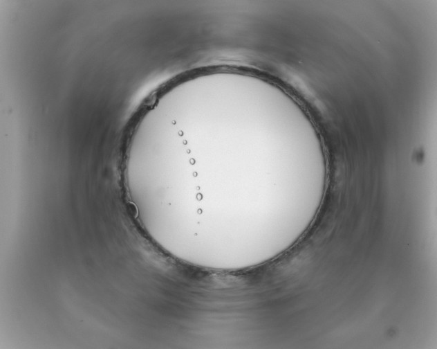 X0000089851312200707262059