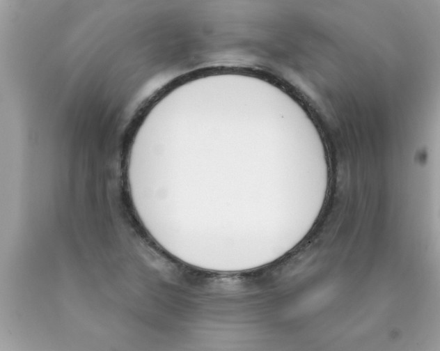 X0000089851315200707262059