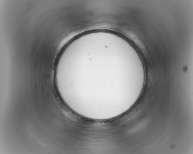 X0000089851316200707262059