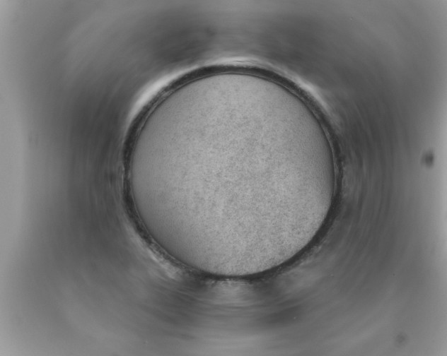 X0000089851319200707262059