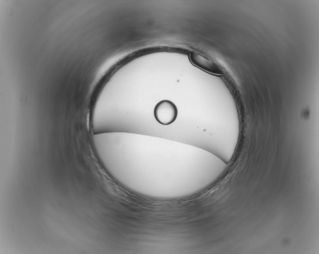 X0000089851320200707262059