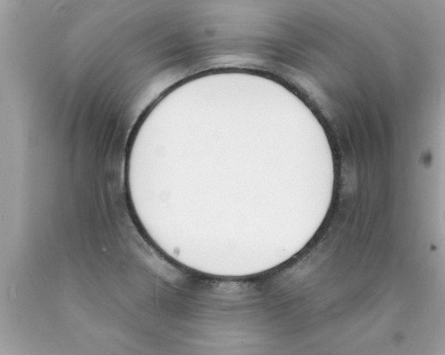 X0000089851322200707262059