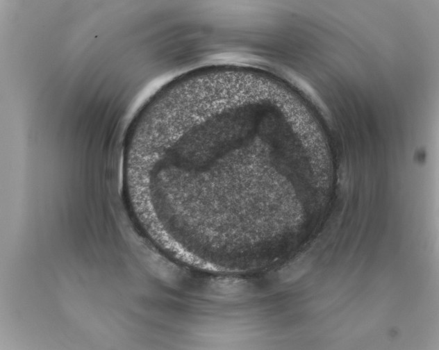 X0000089851323200707262059