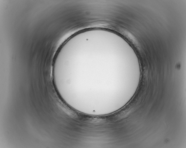 X0000089851324200707262059