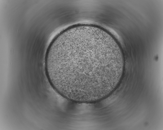 X0000089851327200707262100