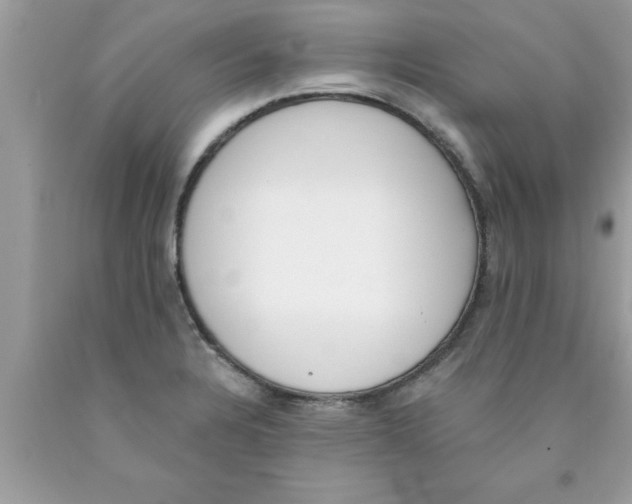 X0000089851328200707262100