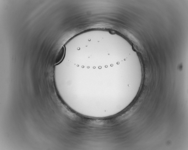 X0000089851329200707262100