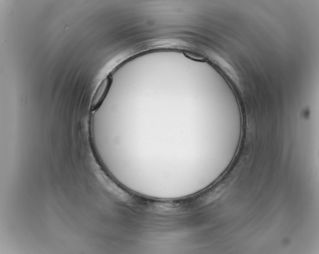 X0000089851330200707262100