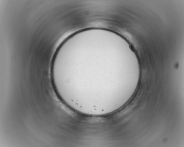 X0000089851331200707262100