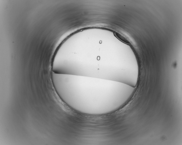 X0000089851332200707262100