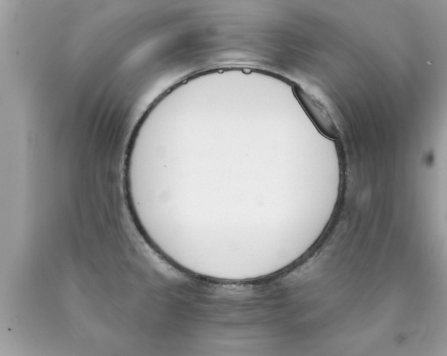 X0000089851333200707262100