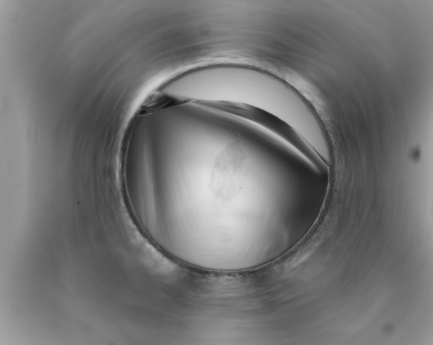 X0000089851334200707262100