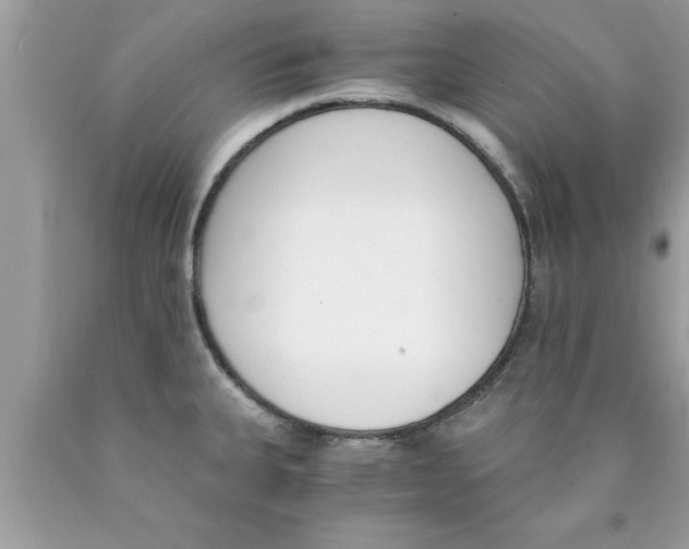 X0000089851335200707262100