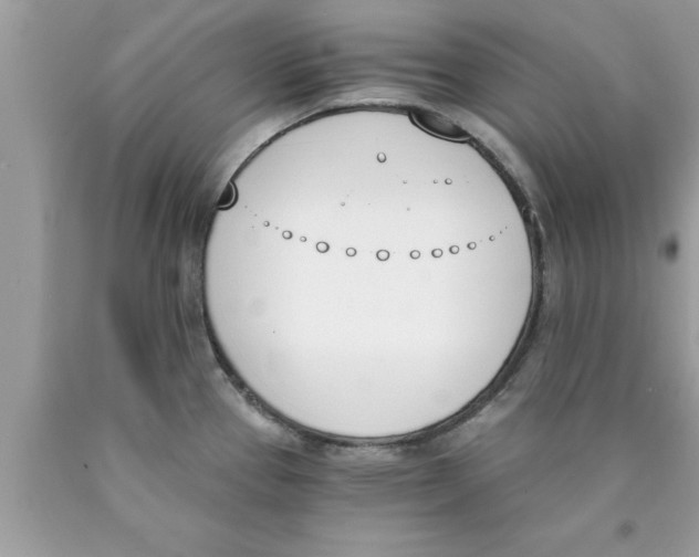 X0000089851337200707262100