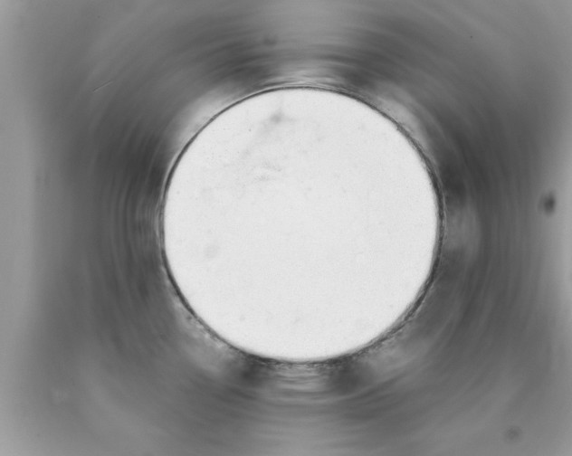 X0000089851338200707262100