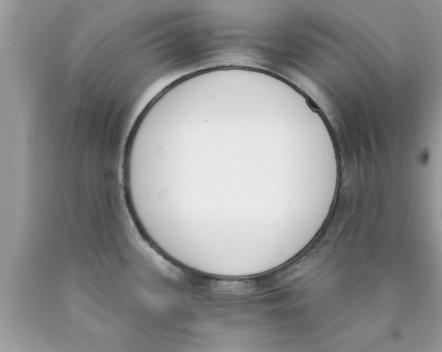 X0000089851339200707262100