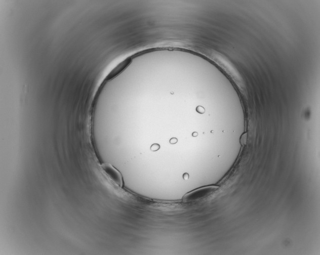 X0000089851340200707262100