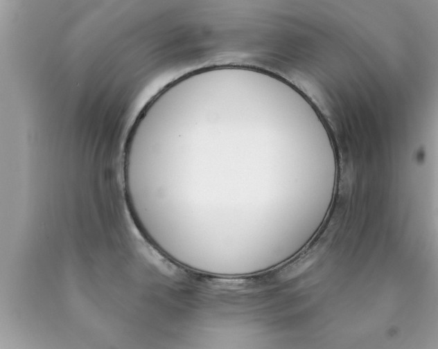 X0000089851342200707262100