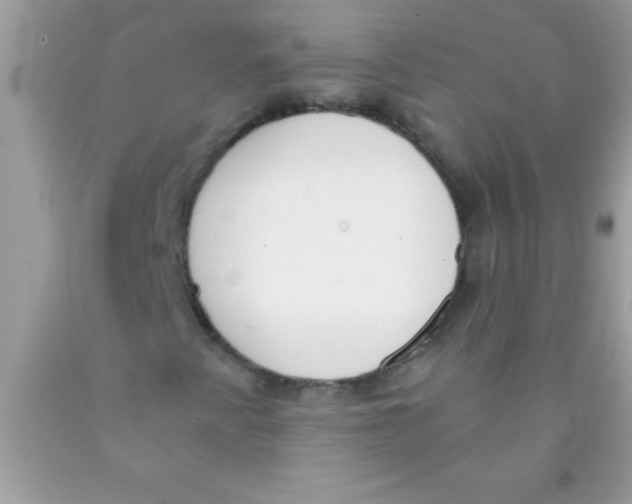 X0000089851345200707262059