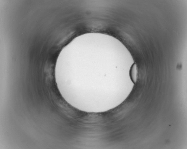 X0000089851346200707262059