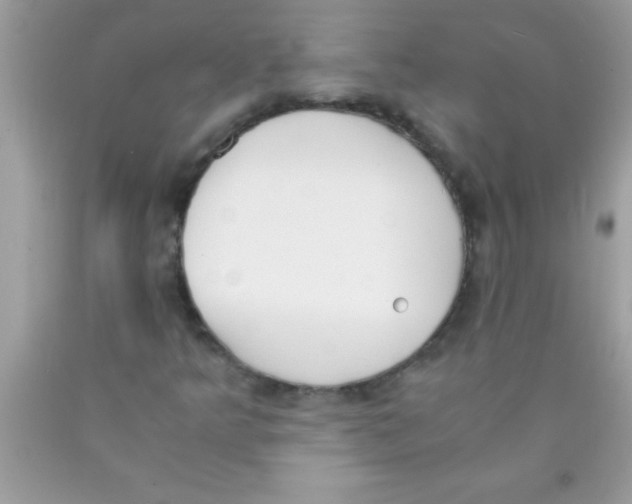 X0000089851349200707262059