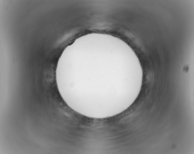 X0000089851350200707262059