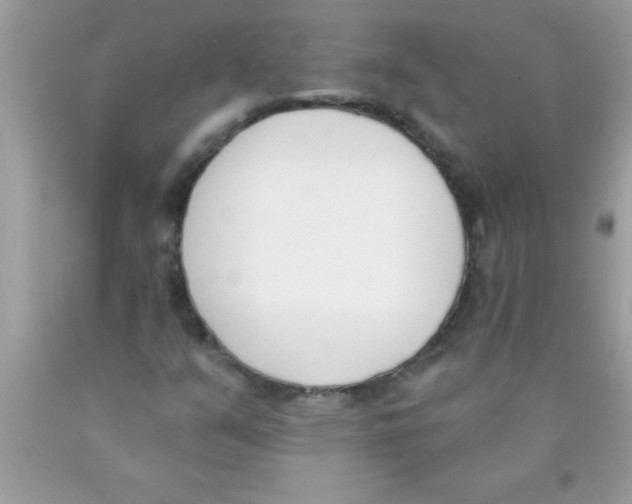 X0000089851351200707262059