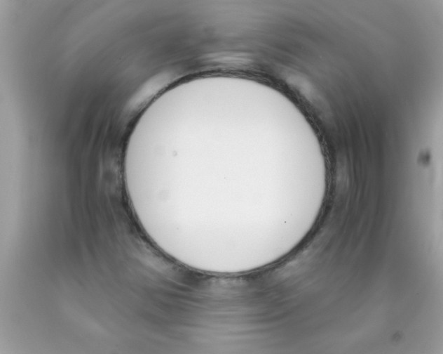 X0000089851354200707262059