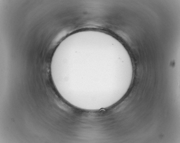 X0000089851355200707262059