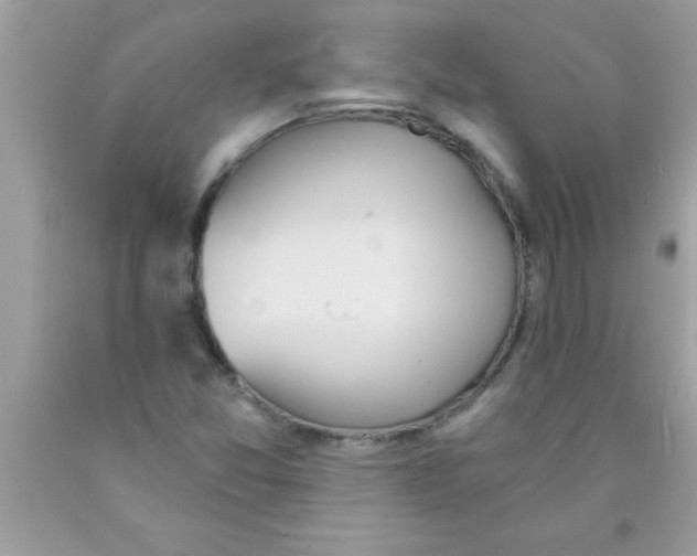 X0000089851357200707262059